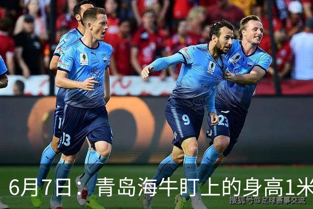 6月7日：青岛海牛盯上的身高1米94海地国脚皮耶罗引援计划或告吹